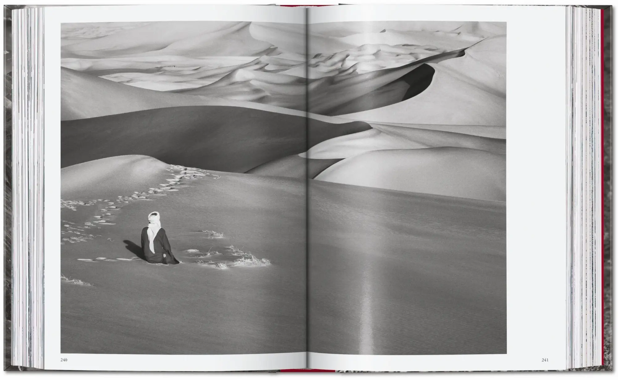 Bild: 9783754403358 | Sebastião Salgado. Genesis. 45th Ed. | Lélia Wanick Salgado | Buch