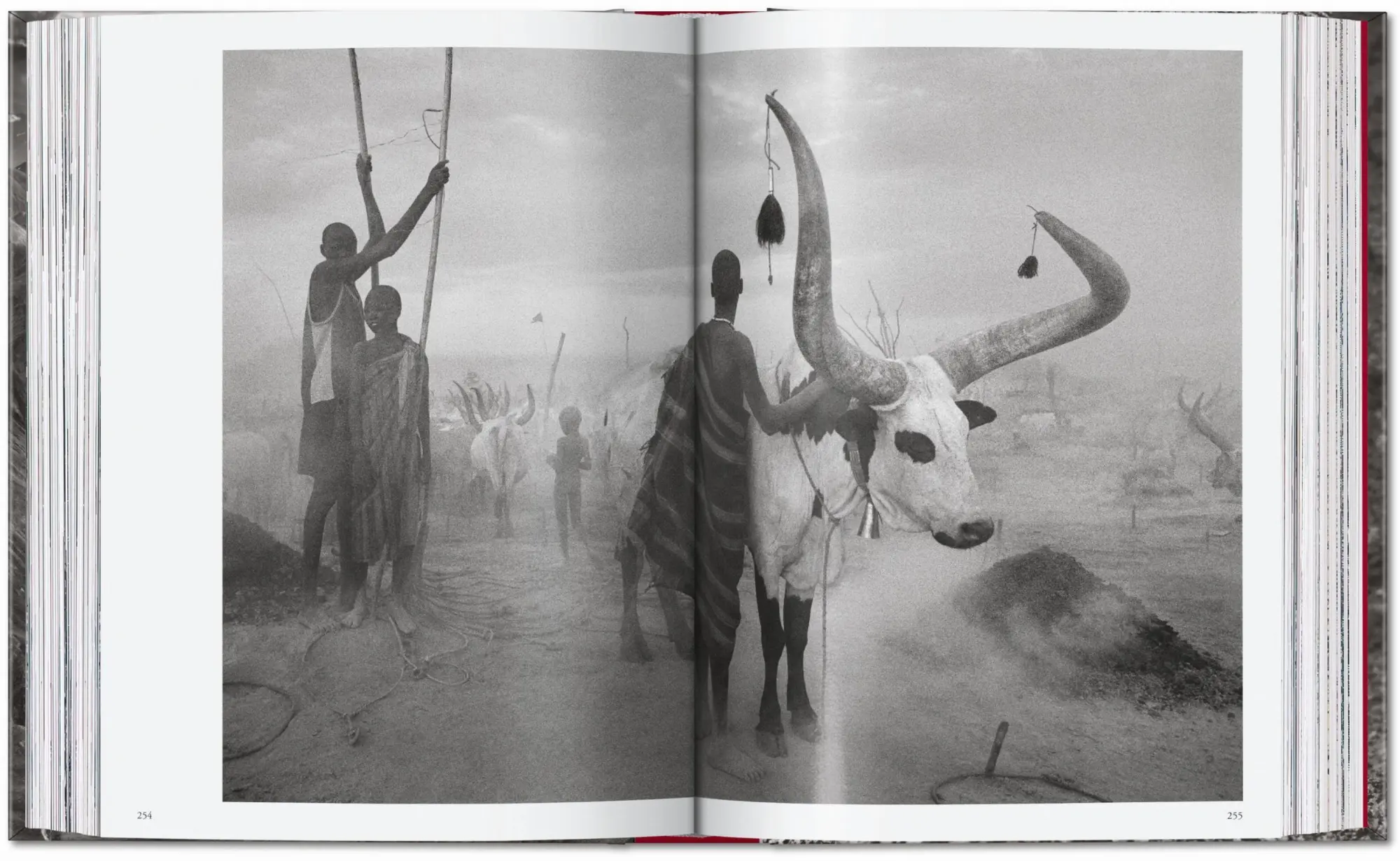 Bild: 9783754403358 | Sebastião Salgado. Genesis. 45th Ed. | Lélia Wanick Salgado | Buch