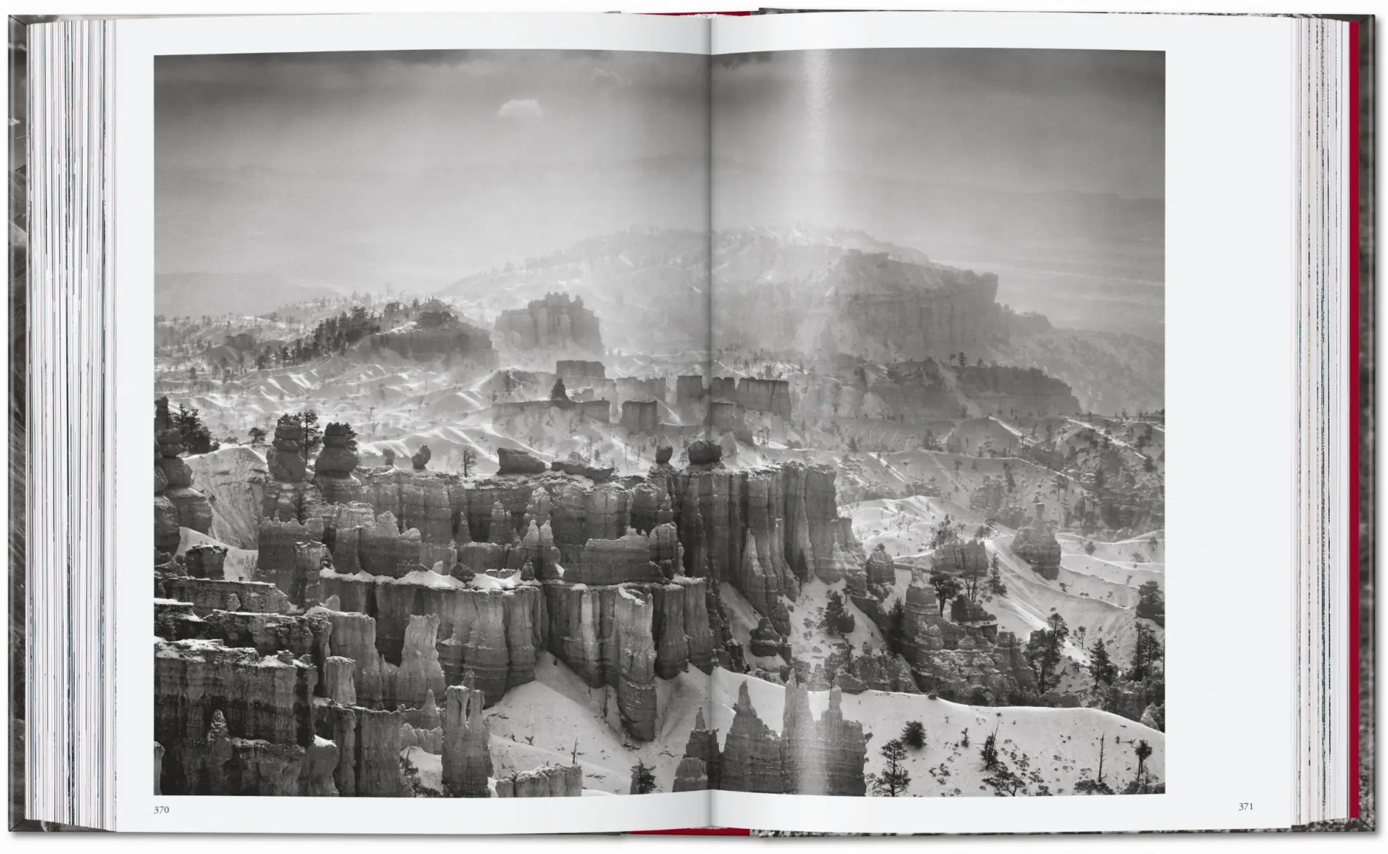 Bild: 9783754403358 | Sebastião Salgado. Genesis. 45th Ed. | Lélia Wanick Salgado | Buch