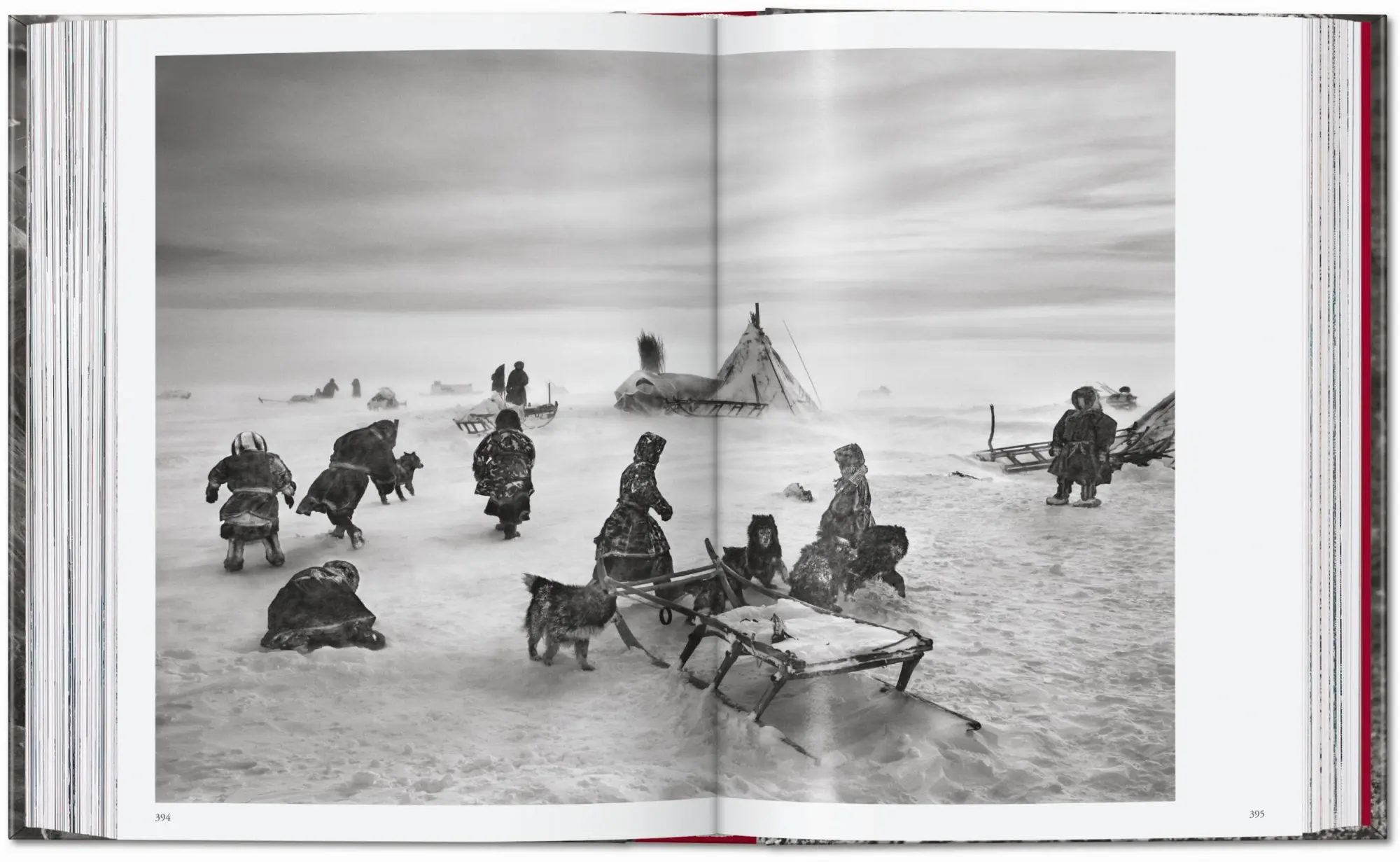 Bild: 9783754403358 | Sebastião Salgado. Genesis. 45th Ed. | Lélia Wanick Salgado | Buch