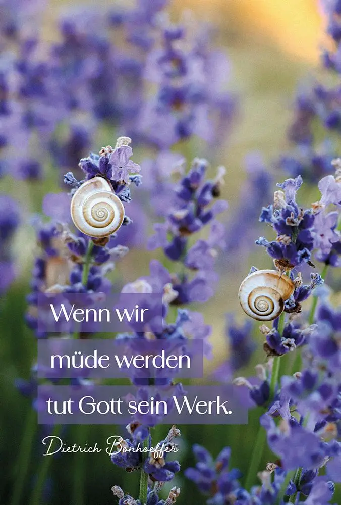 Bild: 9783765533358 | Behütet und getröstet - Aufstellbuch | Dietrich Bonhoeffer | Buch