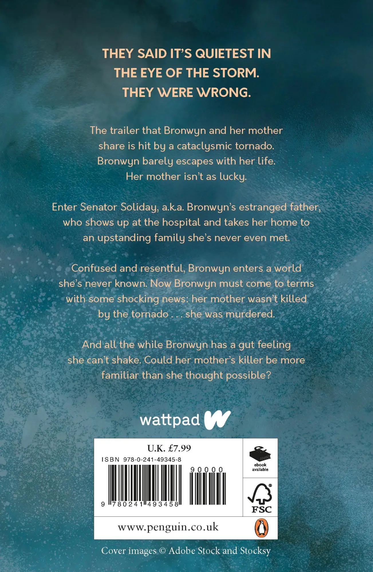 Rückseite: 9780241493458 | Homewrecker | Deanna Cameron | Taschenbuch | Kartoniert / Broschiert