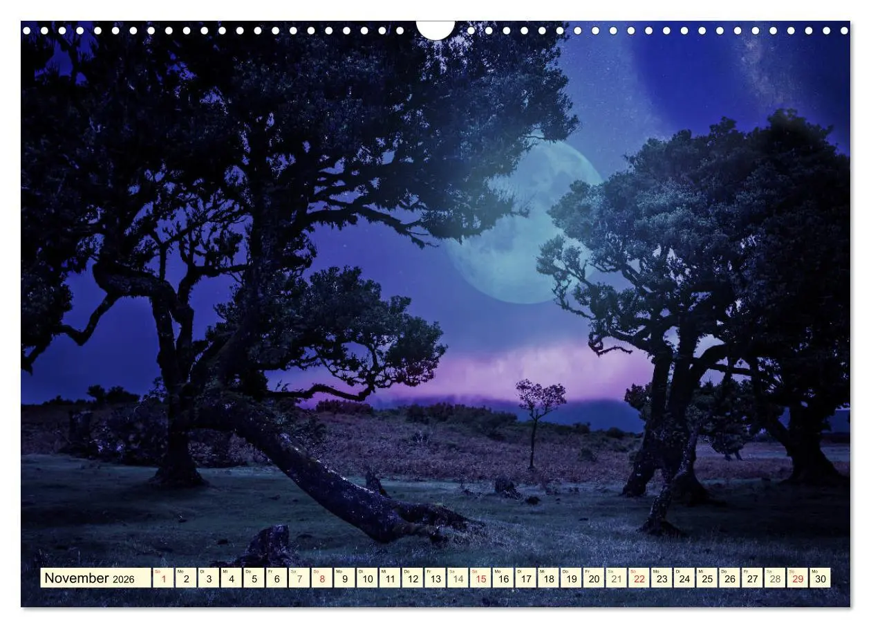 Bild: 9783516033458 | Mystische Wälder - Zauber der Natur (Wandkalender 2026 DIN A3...