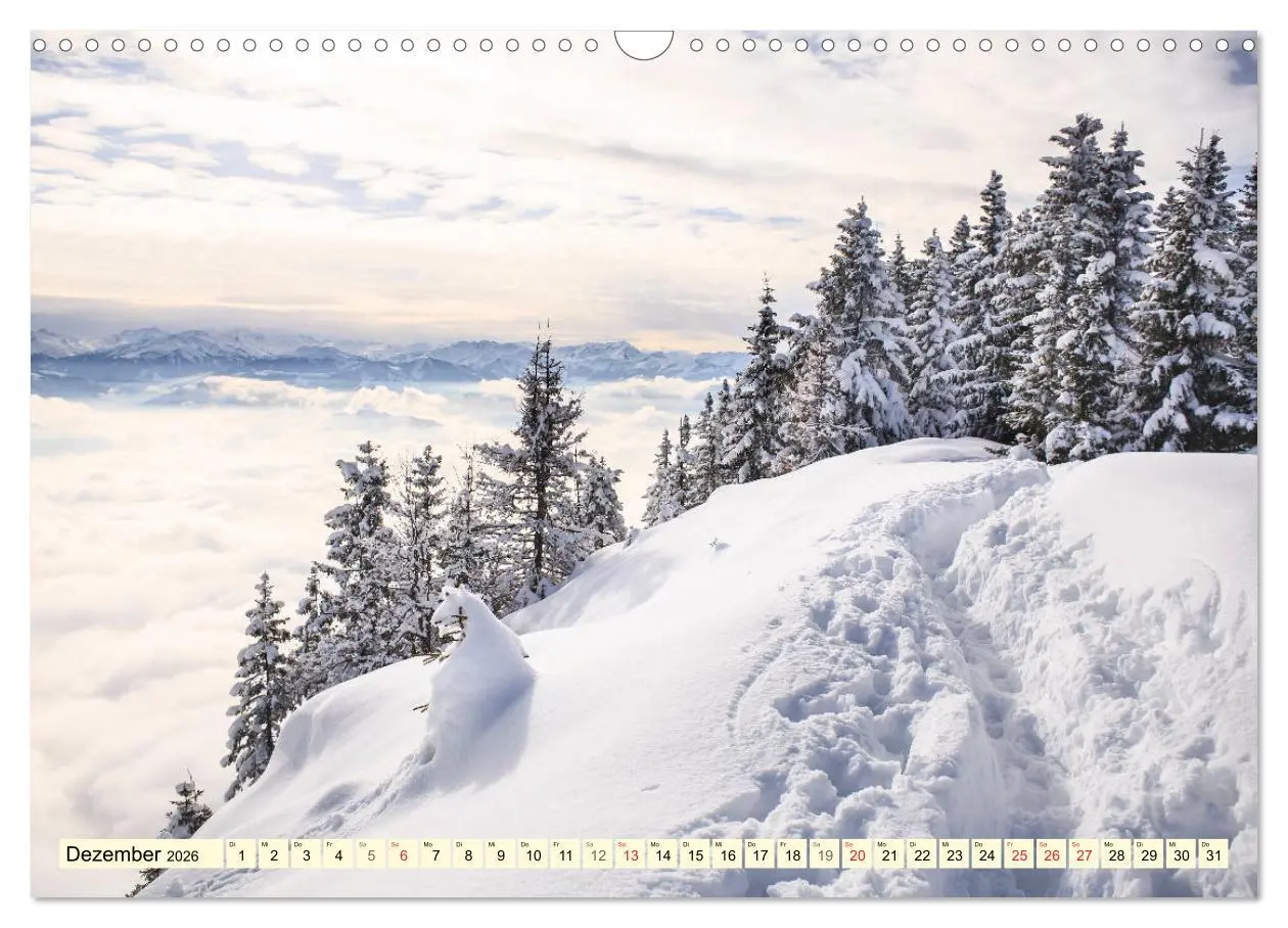 Bild: 9783516033458 | Mystische Wälder - Zauber der Natur (Wandkalender 2026 DIN A3...
