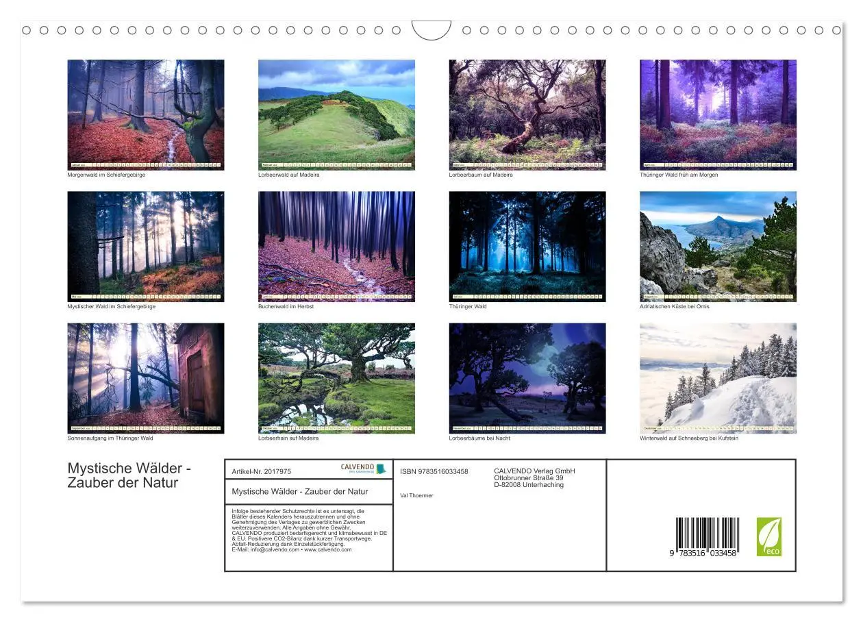 Bild: 9783516033458 | Mystische Wälder - Zauber der Natur (Wandkalender 2026 DIN A3...