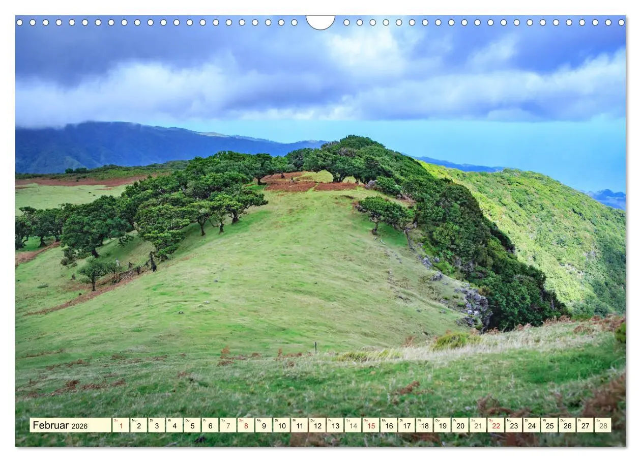Bild: 9783516033458 | Mystische Wälder - Zauber der Natur (Wandkalender 2026 DIN A3...