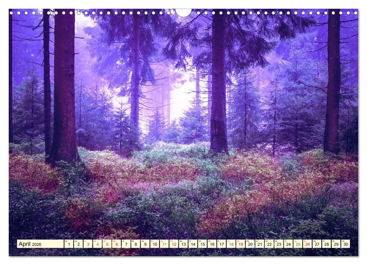 Bild: 9783516033458 | Mystische Wälder - Zauber der Natur (Wandkalender 2026 DIN A3...