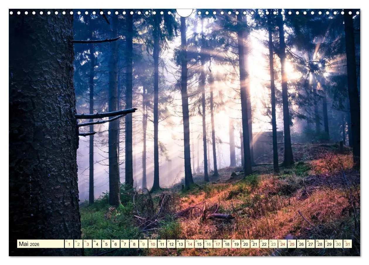 Bild: 9783516033458 | Mystische Wälder - Zauber der Natur (Wandkalender 2026 DIN A3...
