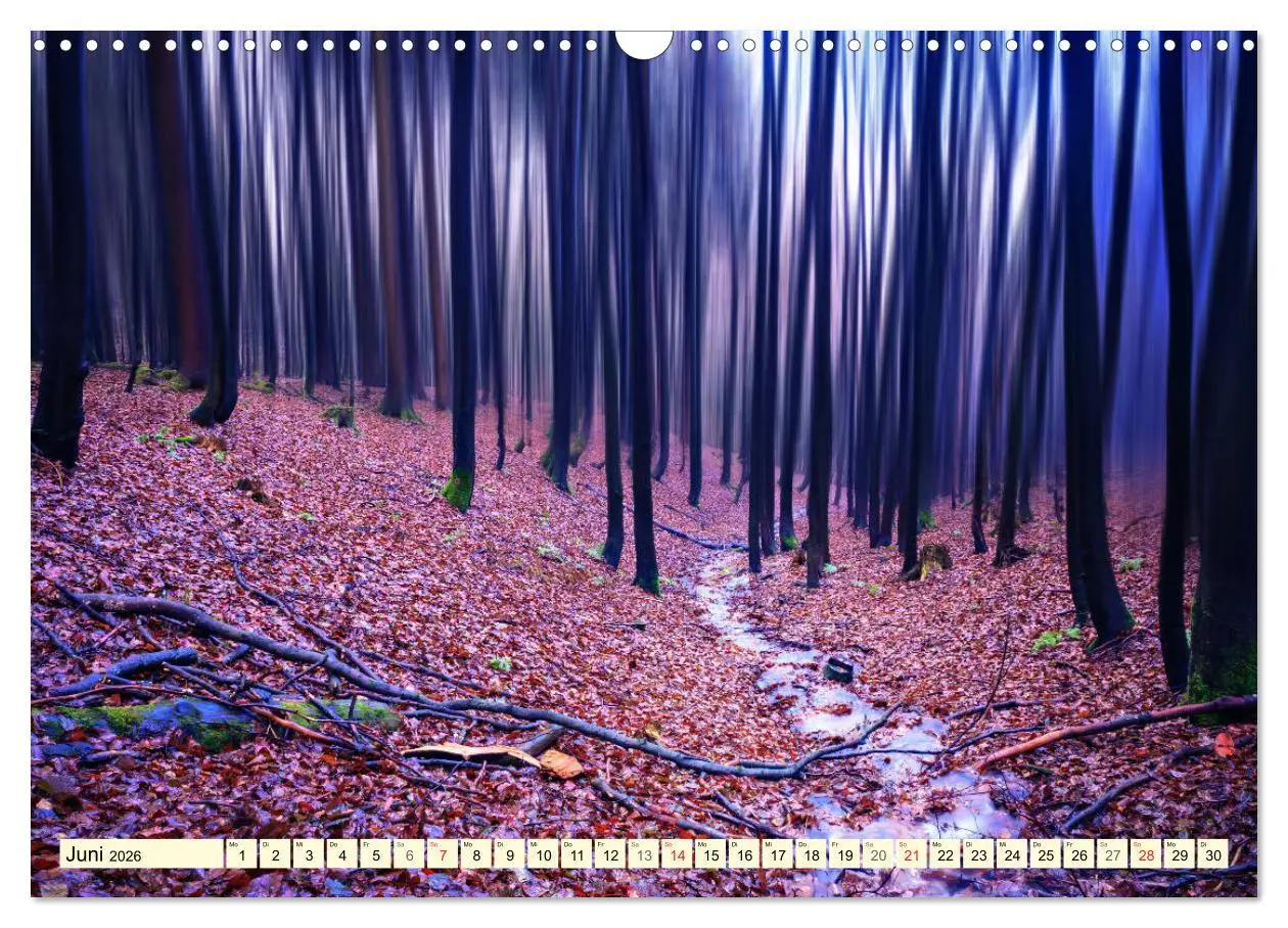 Bild: 9783516033458 | Mystische Wälder - Zauber der Natur (Wandkalender 2026 DIN A3...