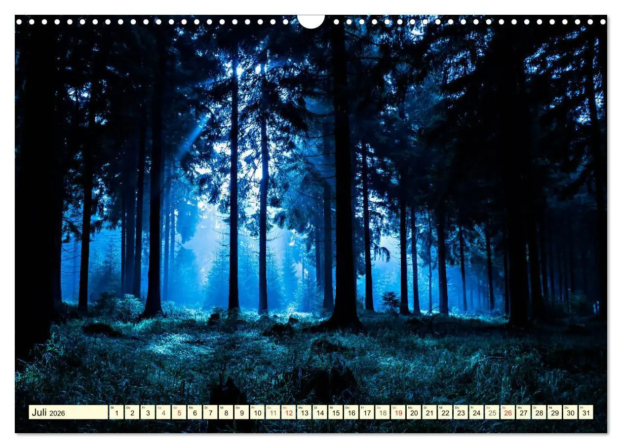 Bild: 9783516033458 | Mystische Wälder - Zauber der Natur (Wandkalender 2026 DIN A3...
