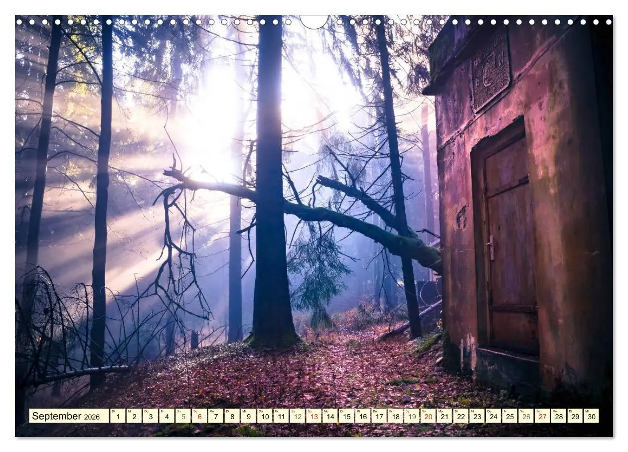 Bild: 9783516033458 | Mystische Wälder - Zauber der Natur (Wandkalender 2026 DIN A3...