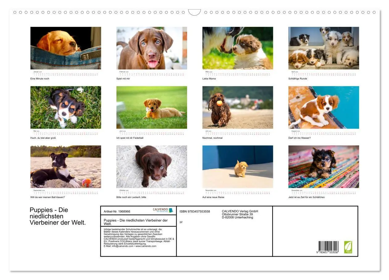 Bild: 9783457553558 | Puppies - Die niedlichsten Vierbeiner der Welt. (Wandkalender 2026...