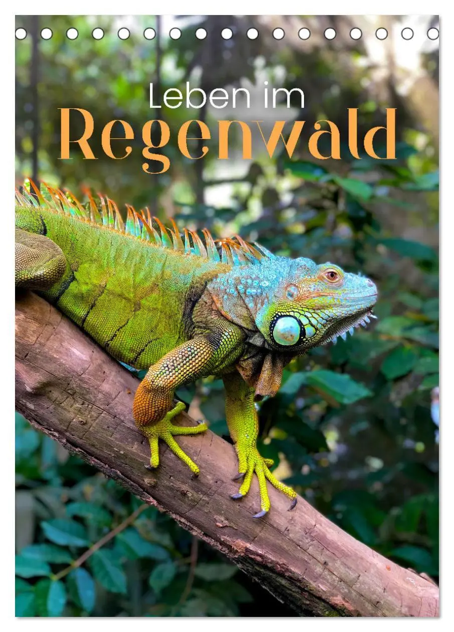 Cover: 9783516333558 | Leben im Regenwald (Tischkalender 2026 DIN A5 hoch), CALVENDO...