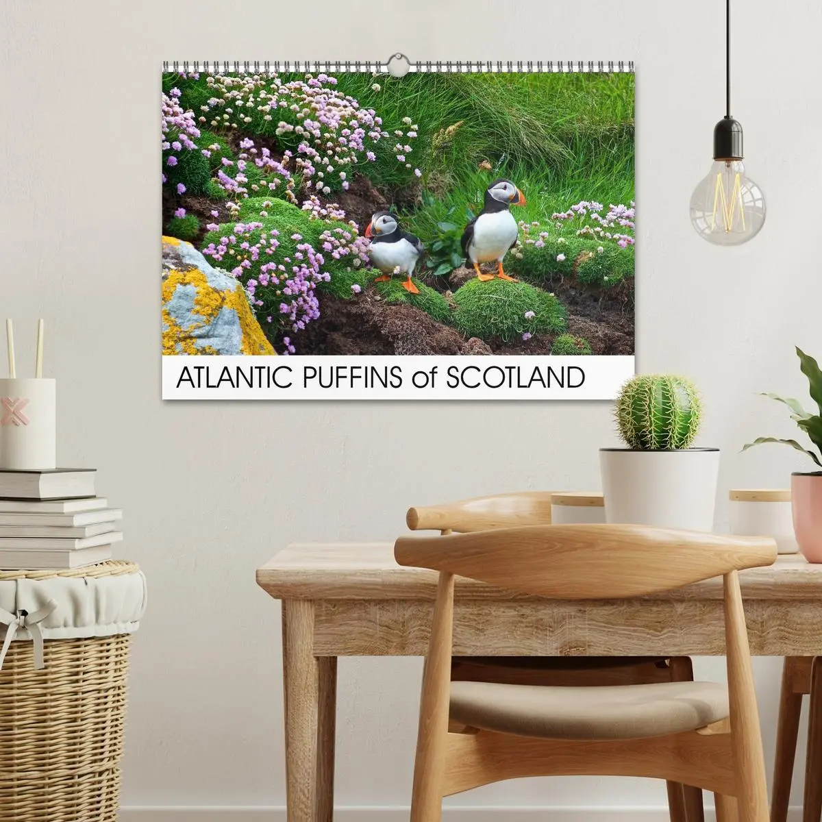 Bild: 9783516573558 | ATLANTIC PUFFINS OF SCOTLAND (Wall Calendar 2026 DIN A3 landscape),...