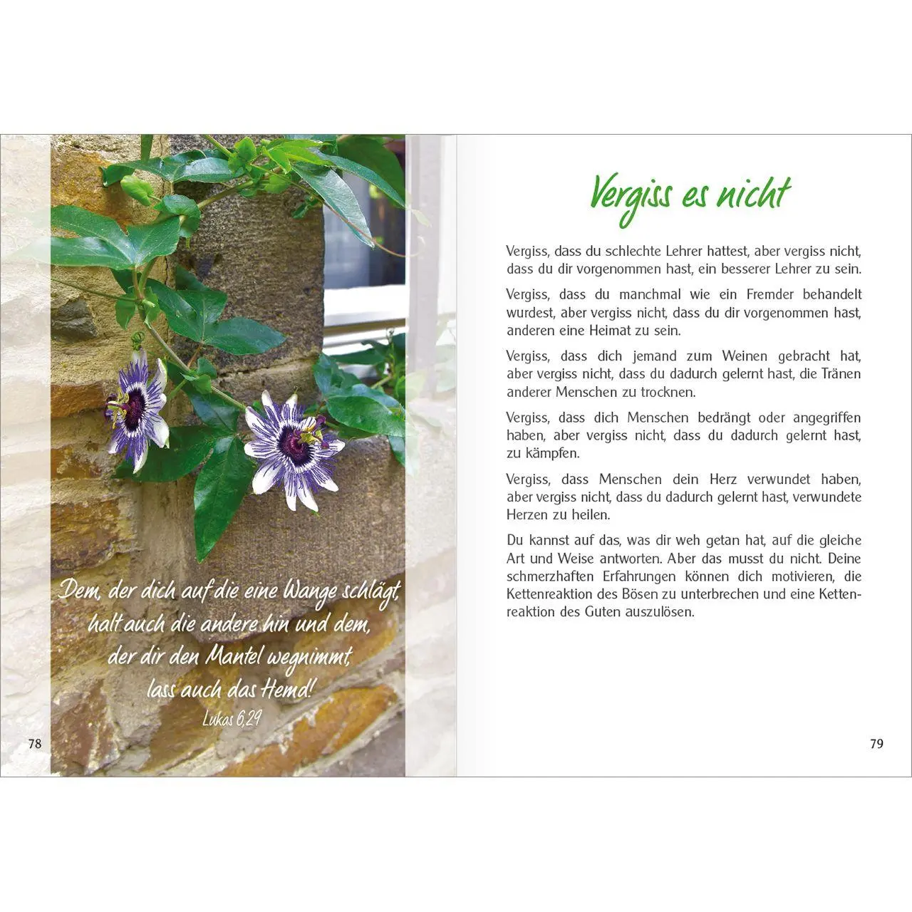 Bild: 9783863383558 | Am Brunnen | Erfrischende Glaubens-Impulse | Andreas Pohl SCJ | Buch