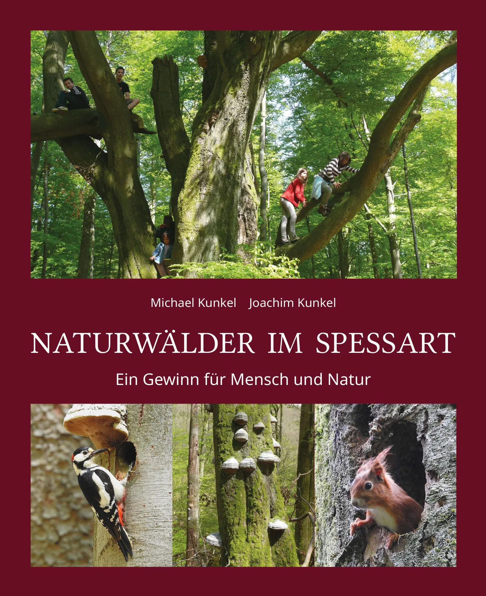 Cover: 9783958283558 | Naturwälder im Spessart | Ein Gewinn für Mensch und Natur | Kunkel