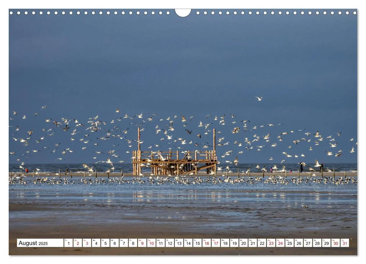 Bild: 9783435383658 | Impressionen aus Sankt Peter-Ording (Wandkalender 2025 DIN A3...