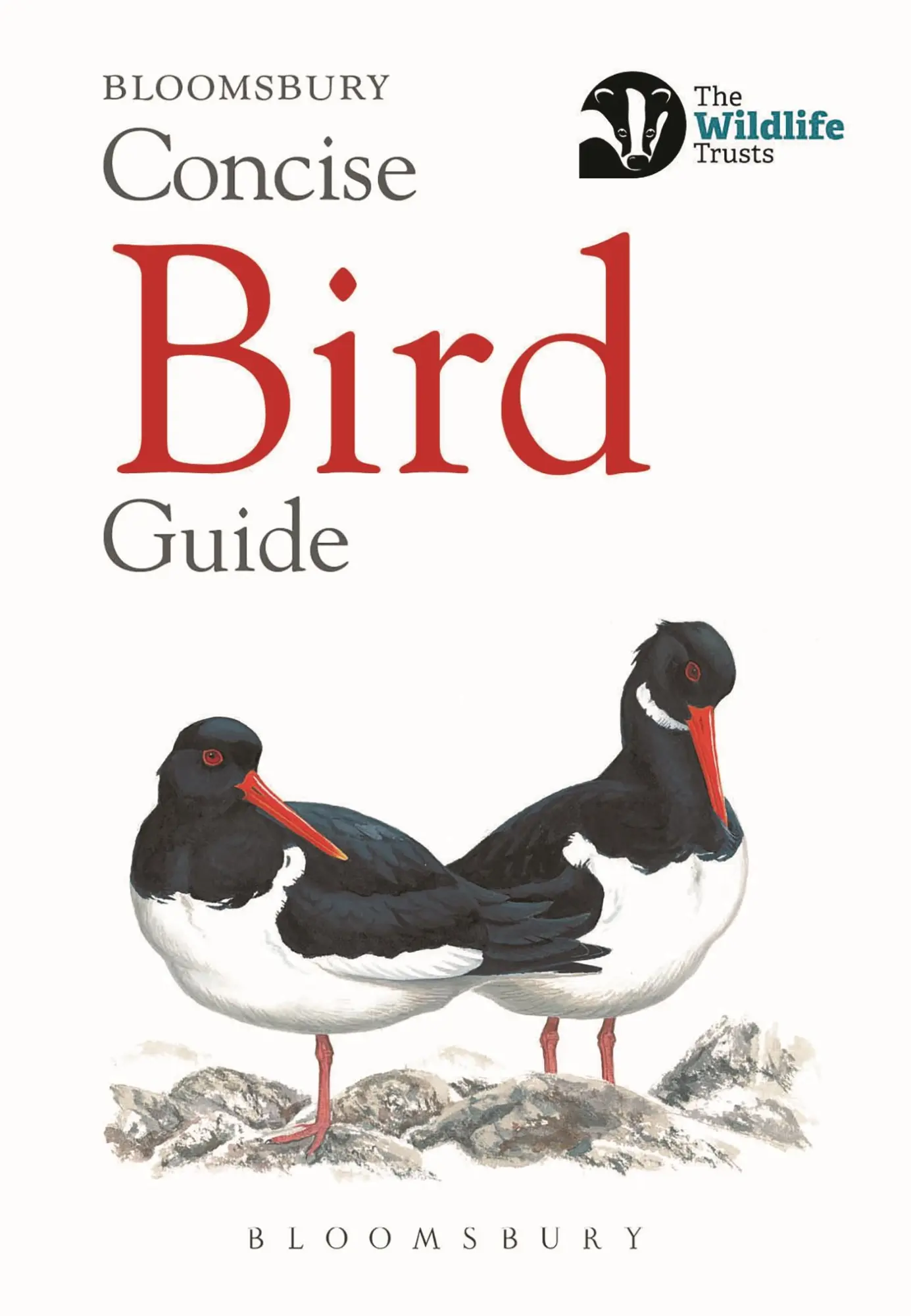 Cover: 9781472963758 | Concise Bird Guide | Bloomsbury | Taschenbuch | Concise Guides | 2018