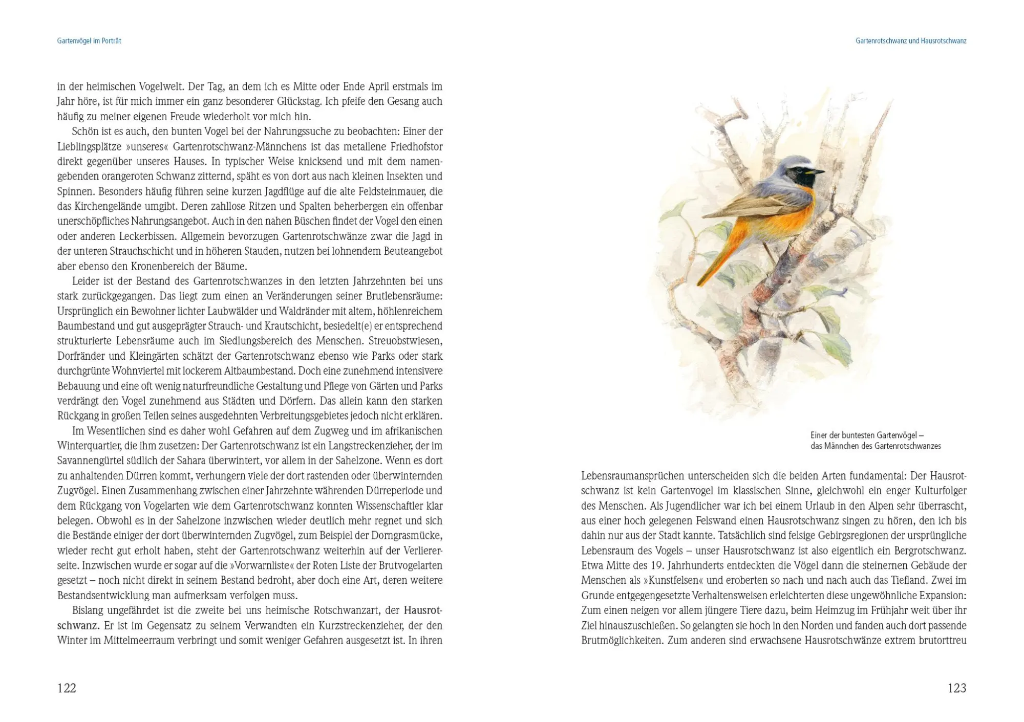 Bild: 9783895663758 | Das große Buch der Gartenvögel | Uwe Westphal | Buch | 288 S. | 2018