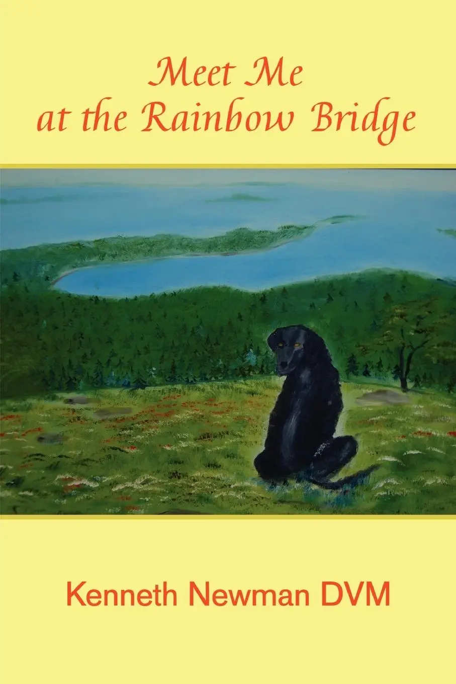 Cover: 9780557503858 | Meet Me at the Rainbow Bridge | Kenneth Newman DVM | Taschenbuch