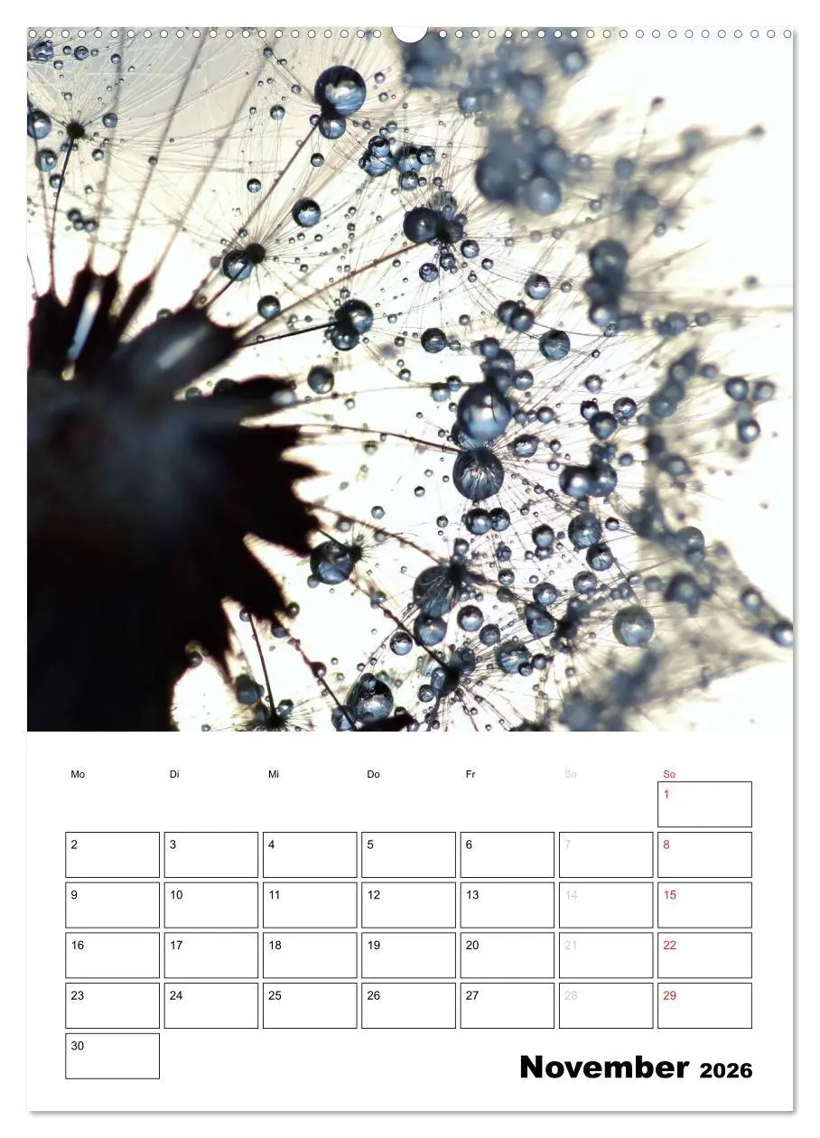 Bild: 9783516473858 | Pusteblumentraum - Dreams of Dandelion (Wandkalender 2026 DIN A2...