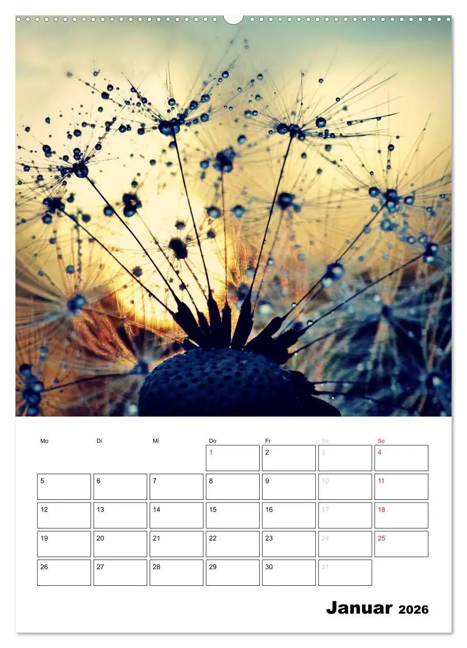 Bild: 9783516473858 | Pusteblumentraum - Dreams of Dandelion (Wandkalender 2026 DIN A2...