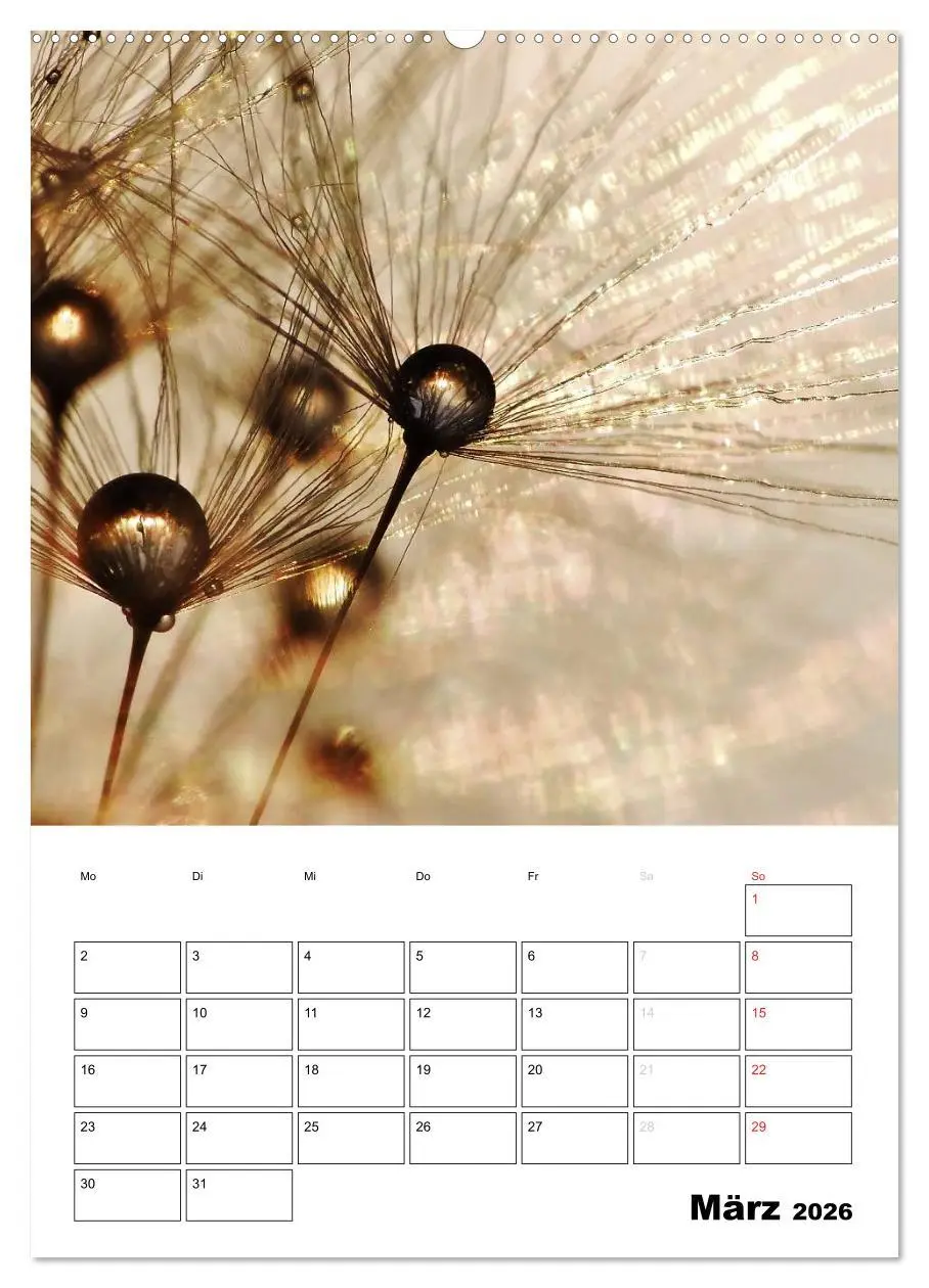Bild: 9783516473858 | Pusteblumentraum - Dreams of Dandelion (Wandkalender 2026 DIN A2...