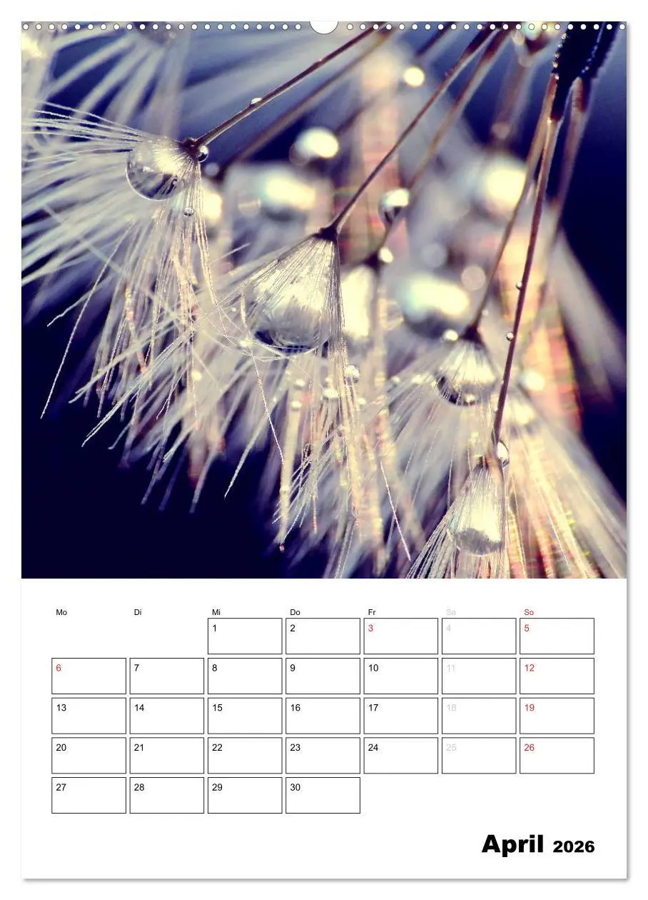 Bild: 9783516473858 | Pusteblumentraum - Dreams of Dandelion (Wandkalender 2026 DIN A2...