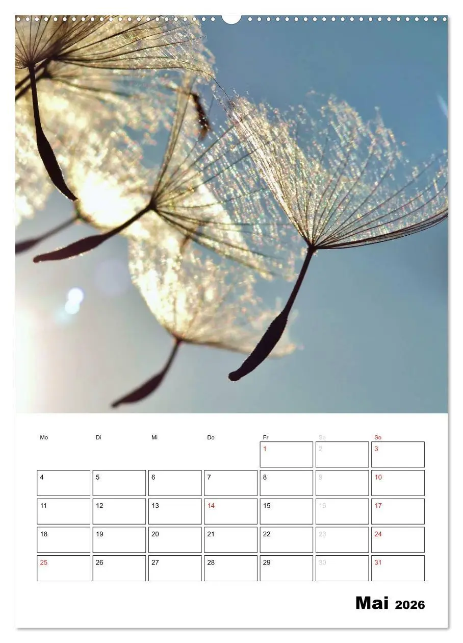 Bild: 9783516473858 | Pusteblumentraum - Dreams of Dandelion (Wandkalender 2026 DIN A2...