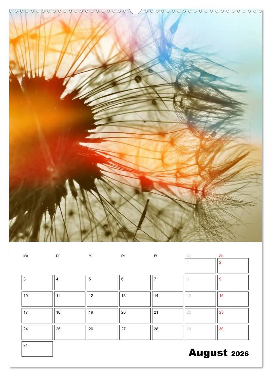 Bild: 9783516473858 | Pusteblumentraum - Dreams of Dandelion (Wandkalender 2026 DIN A2...