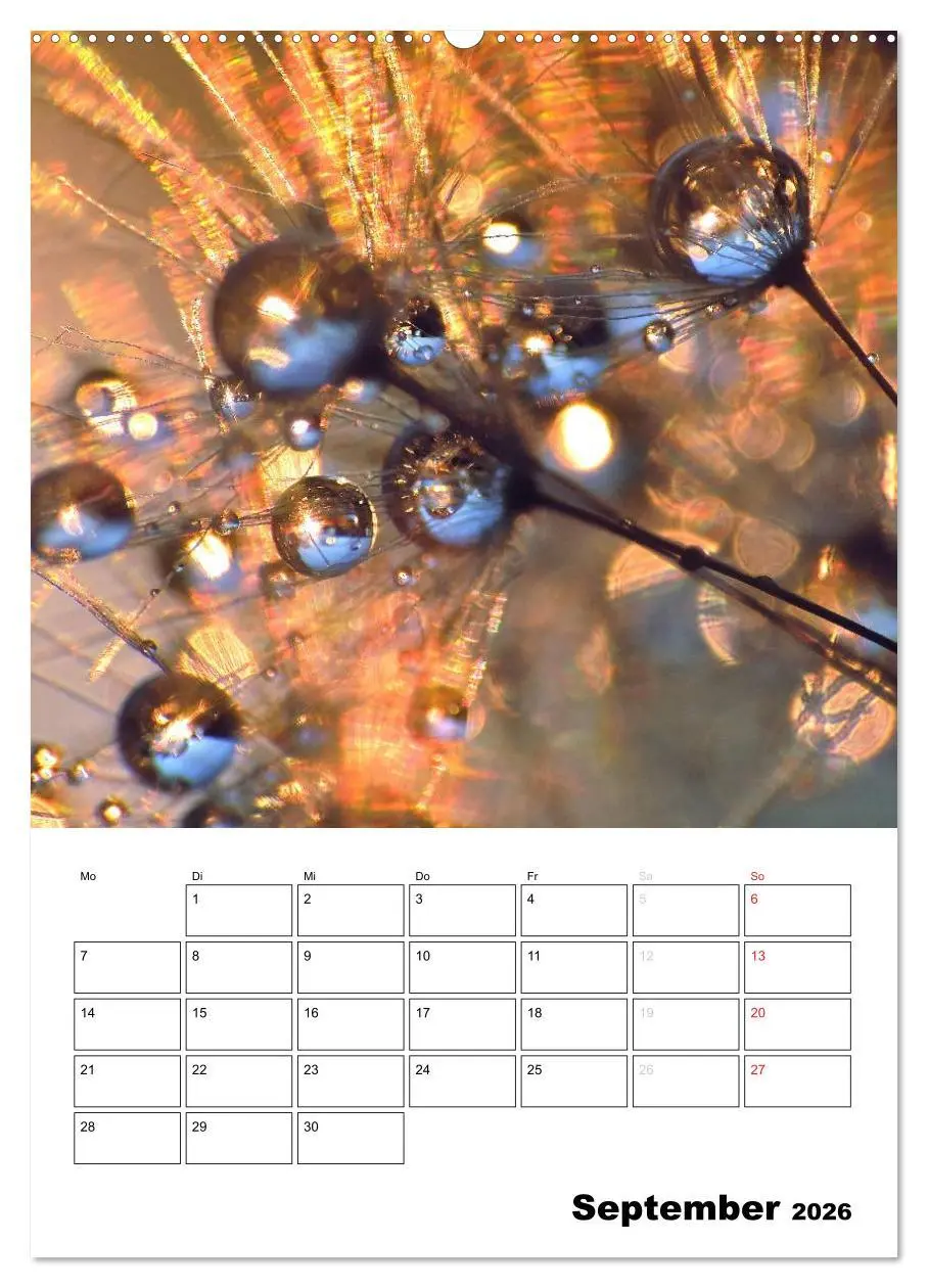 Bild: 9783516473858 | Pusteblumentraum - Dreams of Dandelion (Wandkalender 2026 DIN A2...