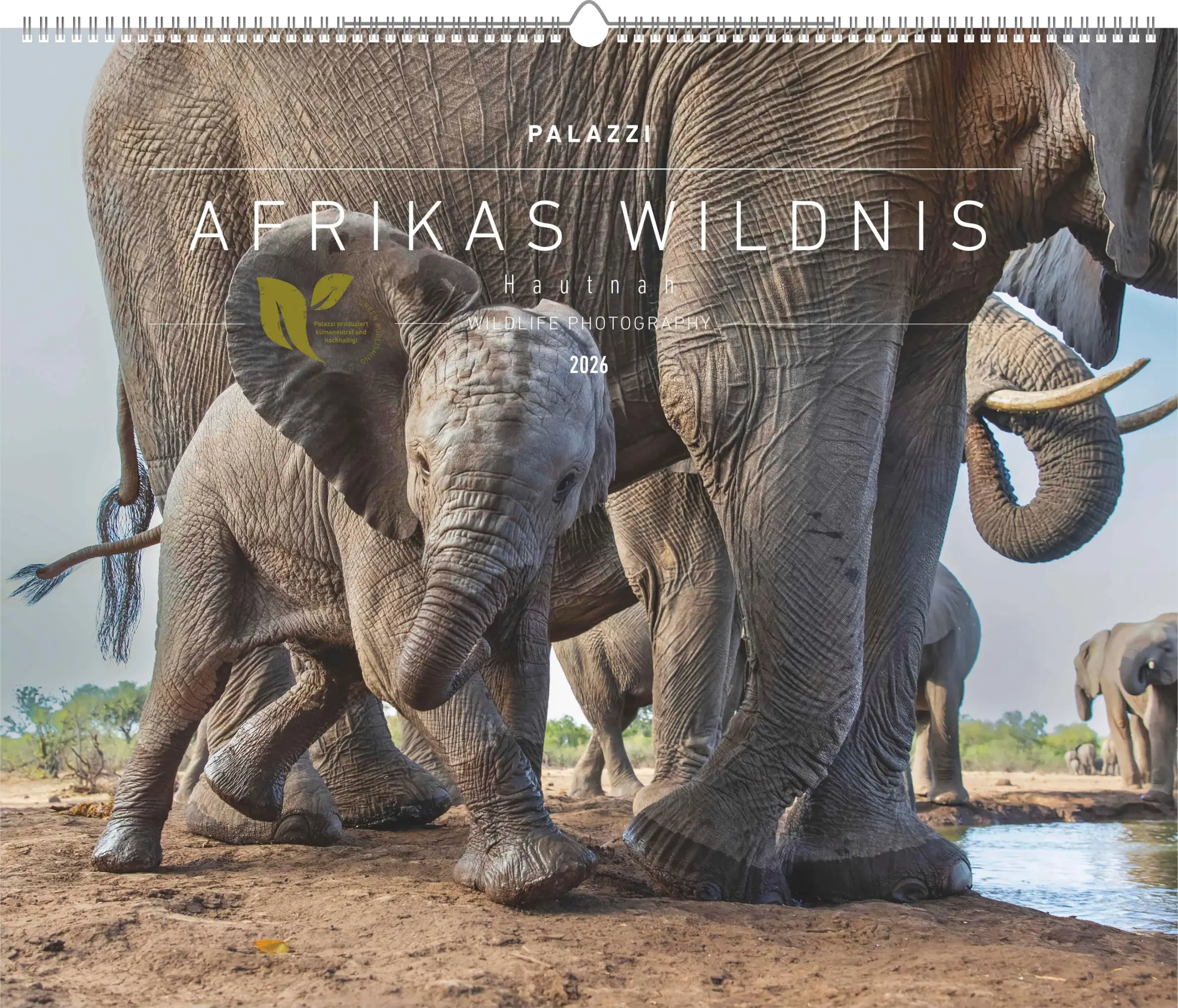 Cover: 4069095003958 | Hautnah - Afrikas Wildnis 2026 - Bild-Kalender - Poster-Kalender -...