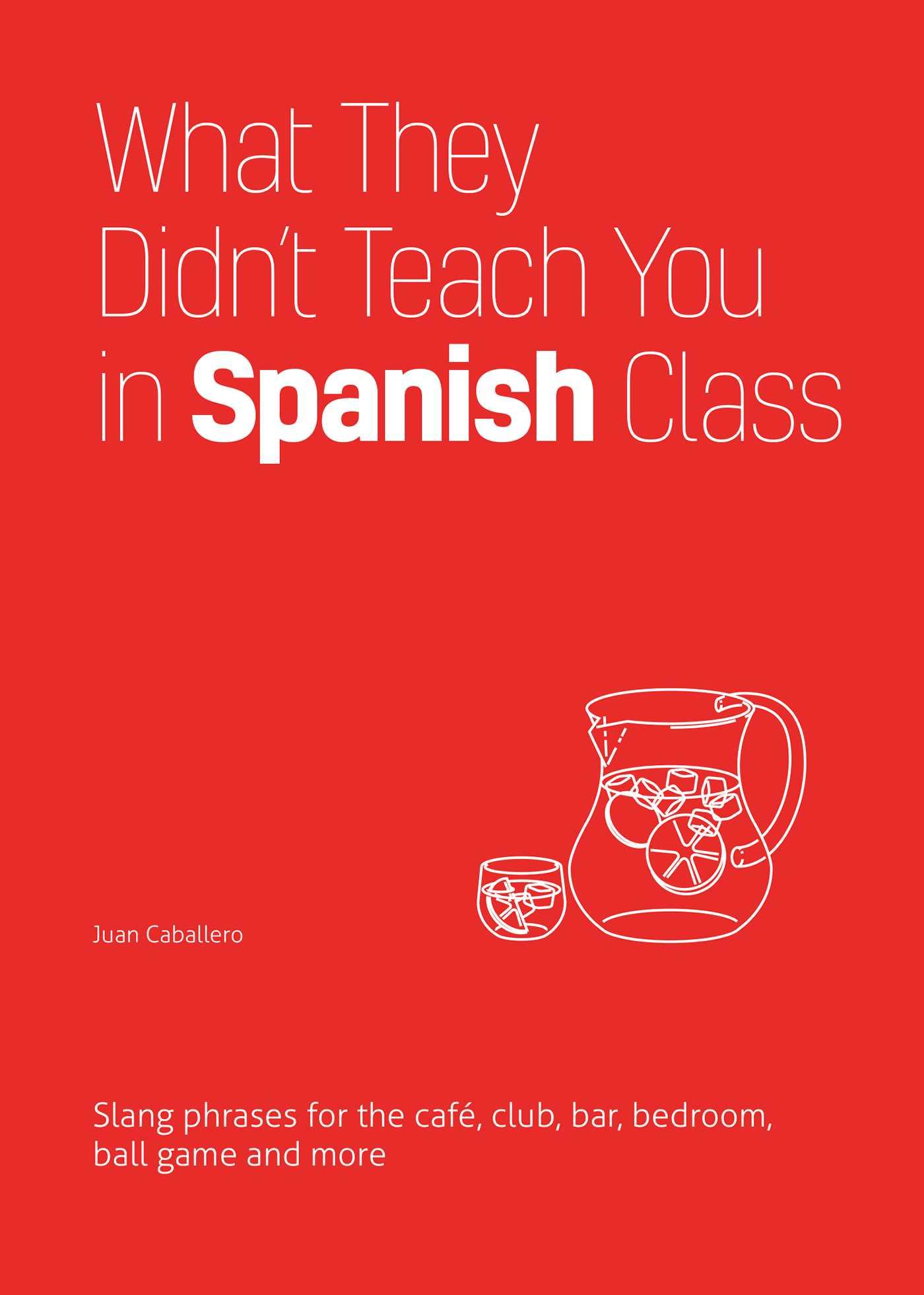 Cover: 9781646043958 | What They Didn't Teach You In Spanish Class | Juan Caballero | Buch