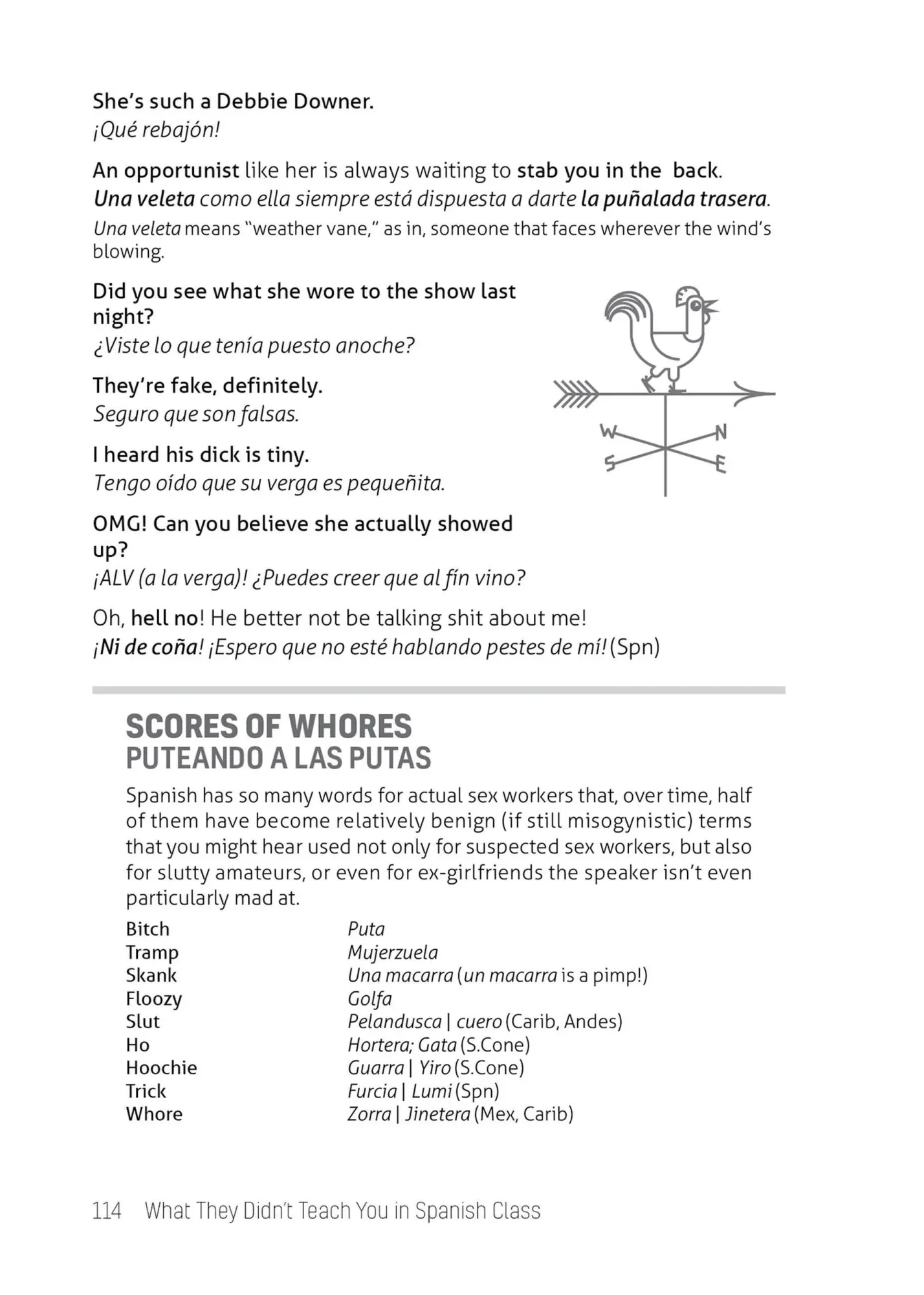 Bild: 9781646043958 | What They Didn't Teach You In Spanish Class | Juan Caballero | Buch