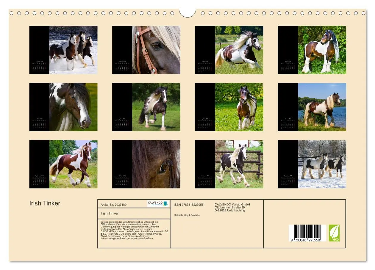 Bild: 9783516223958 | Irish Tinker (Wandkalender 2026 DIN A3 quer), CALVENDO Monatskalender