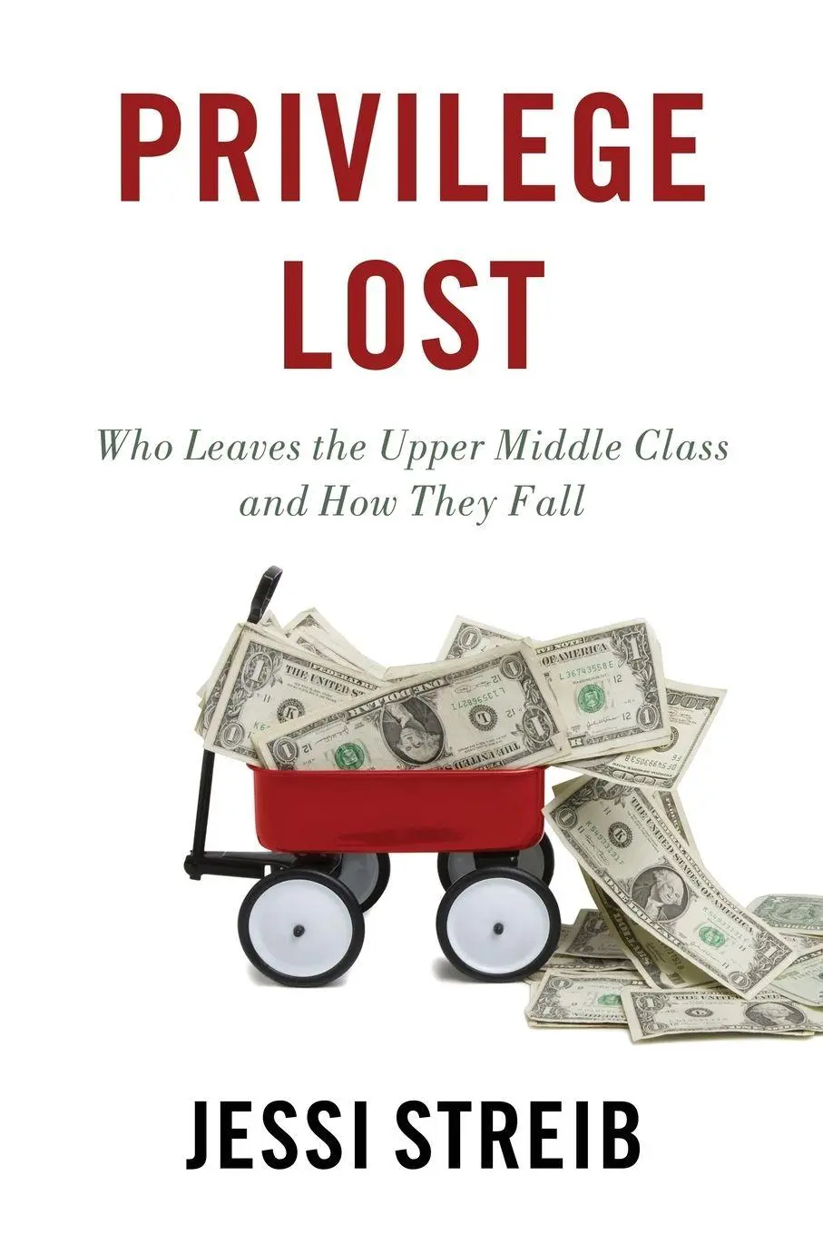 Cover: 9780190854058 | Privilege Lost | Who Leaves the Upper Middle Class and How They Fall