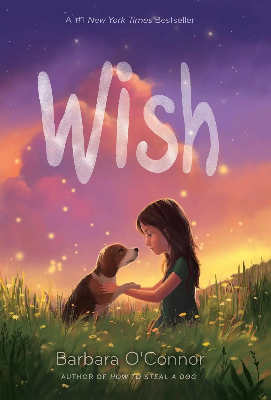 Cover: 9781250144058 | Wish | Barbara O'Connor | Taschenbuch | 256 S. | Englisch | 2017