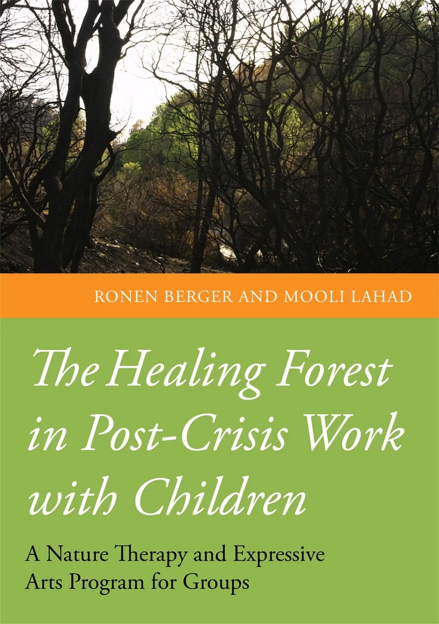 Cover: 9781849054058 | The Healing Forest in Post-Crisis Work with Children | Lahad (u. a.)