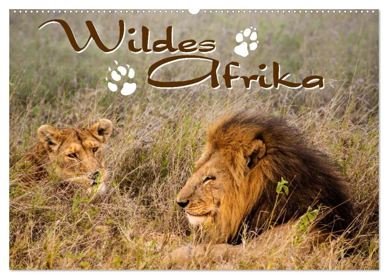 Cover: 9783516114058 | Wildes Afrika (Wandkalender 2026 DIN A2 quer), CALVENDO Monatskalender