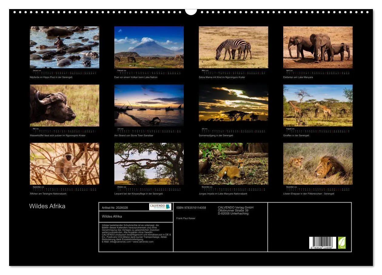 Bild: 9783516114058 | Wildes Afrika (Wandkalender 2026 DIN A2 quer), CALVENDO Monatskalender