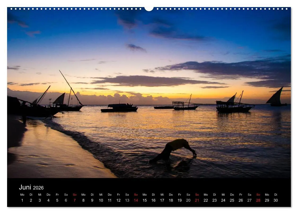 Bild: 9783516114058 | Wildes Afrika (Wandkalender 2026 DIN A2 quer), CALVENDO Monatskalender
