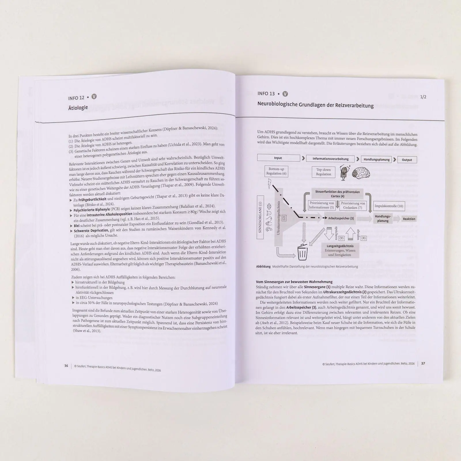 Bild: 9783621294058 | Therapie-Basics ADHS bei Kindern und Jugendlichen | Claire Seufert