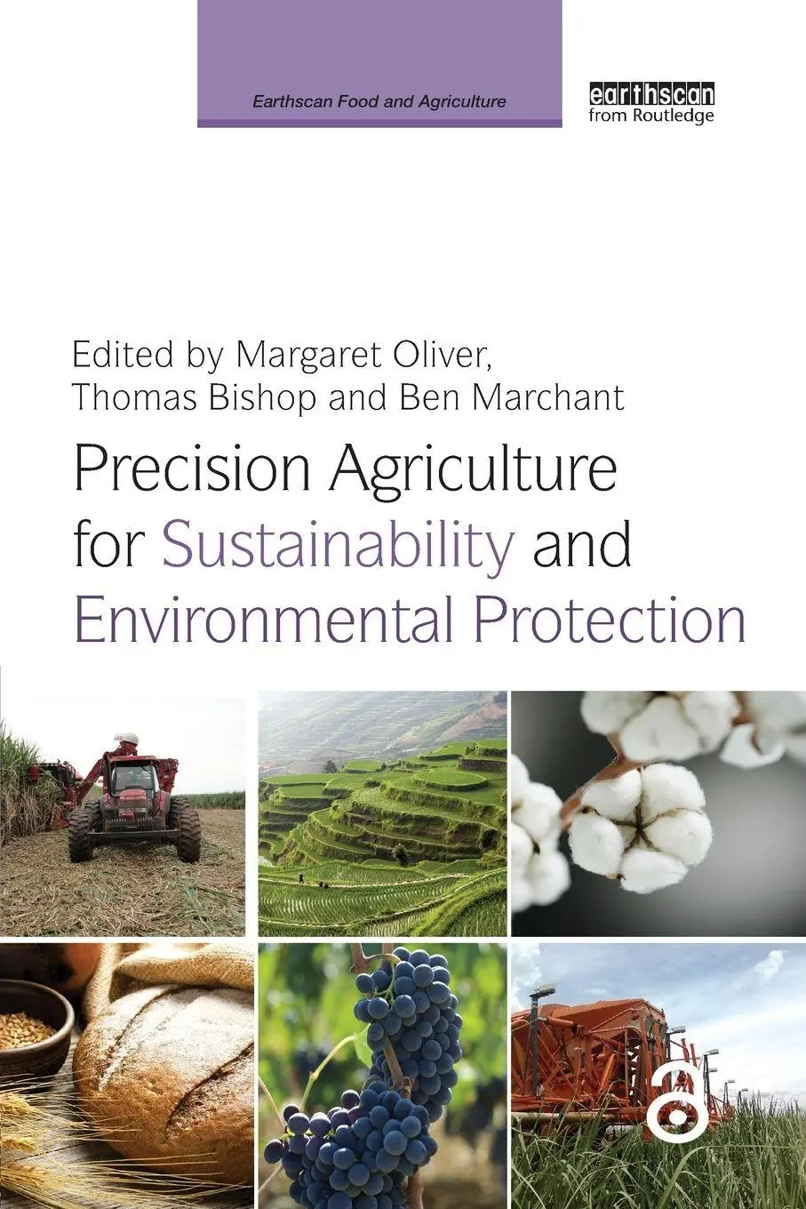 Cover: 9781138364158 | Precision Agriculture for Sustainability and Environmental Protection