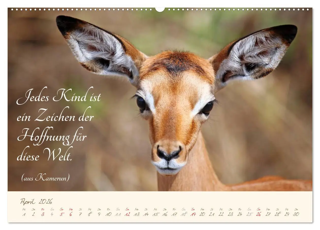 Bild: 9783457944158 | AFRIKA mit einem Hauch von Poesie (Wandkalender 2026 DIN A2 quer),...