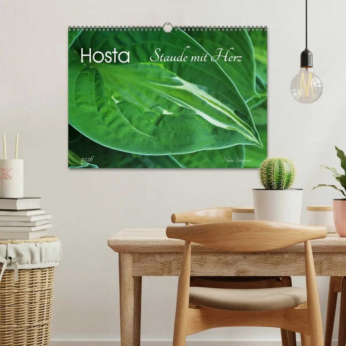 Bild: 9783516034158 | Hosta Staude mit Herz (Wandkalender 2026 DIN A3 quer), CALVENDO...