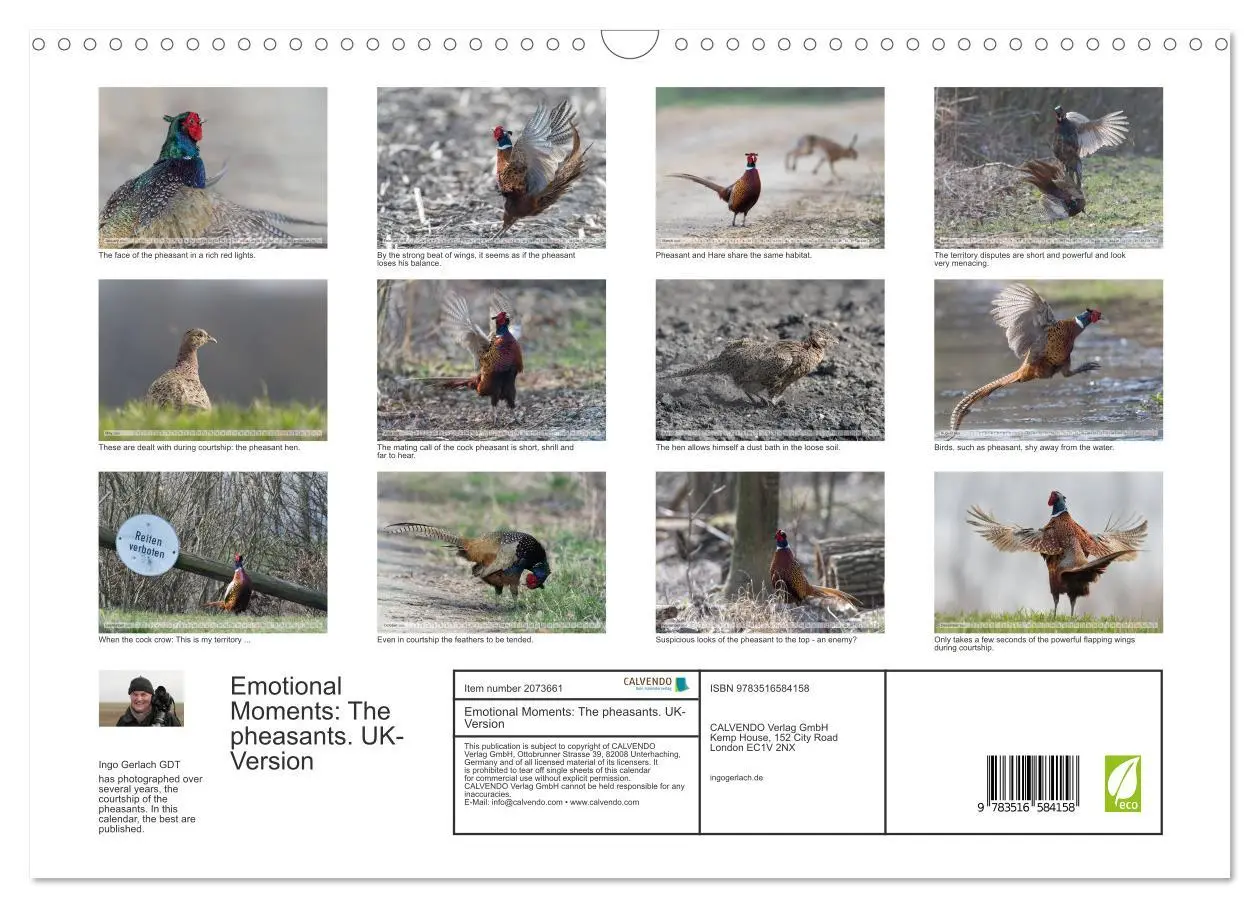 Bild: 9783516584158 | Emotional Moments: The pheasants. UK-Version (Wall Calendar 2026...