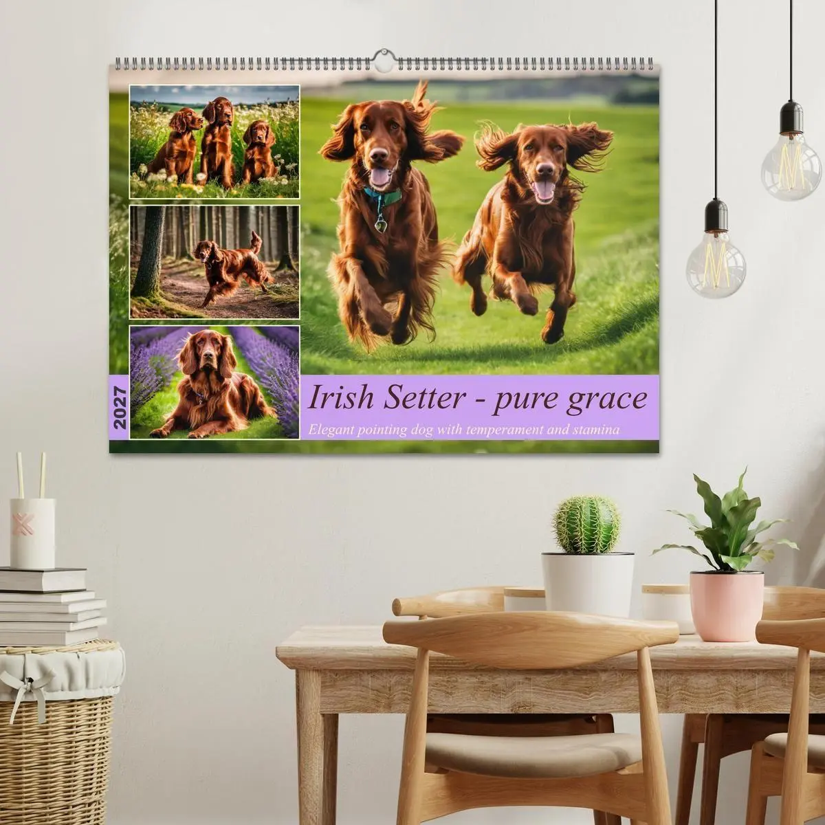 Bild: 9783569124158 | Irish Setter - pure grace (Wall Calendar 2027 DIN A2 landscape),...