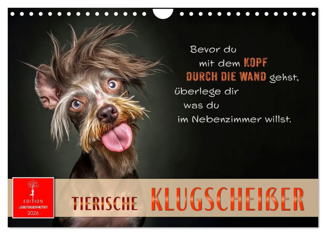 Cover: 9783457304358 | Tierische Klugscheißer (Wandkalender 2026 DIN A4 quer), CALVENDO...
