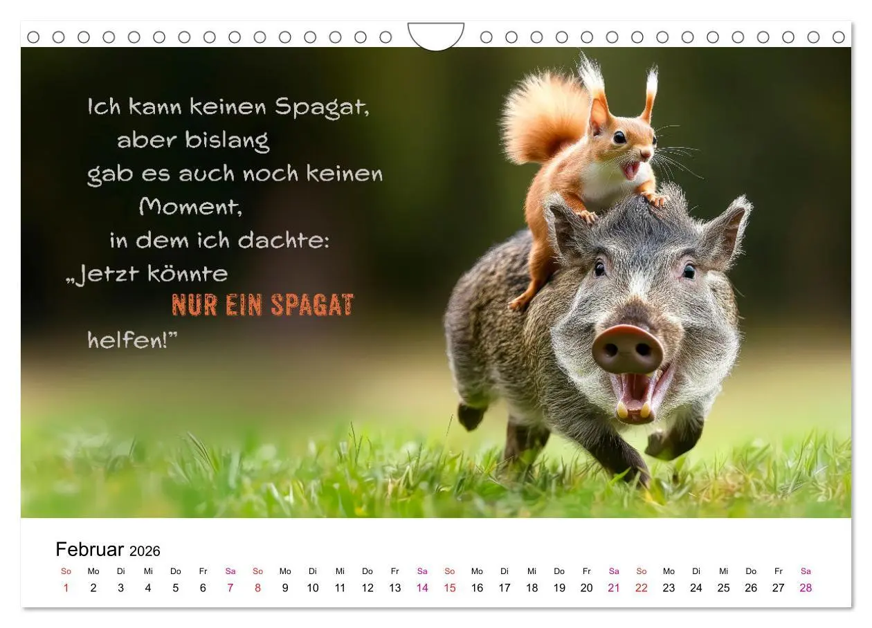 Bild: 9783457304358 | Tierische Klugscheißer (Wandkalender 2026 DIN A4 quer), CALVENDO...