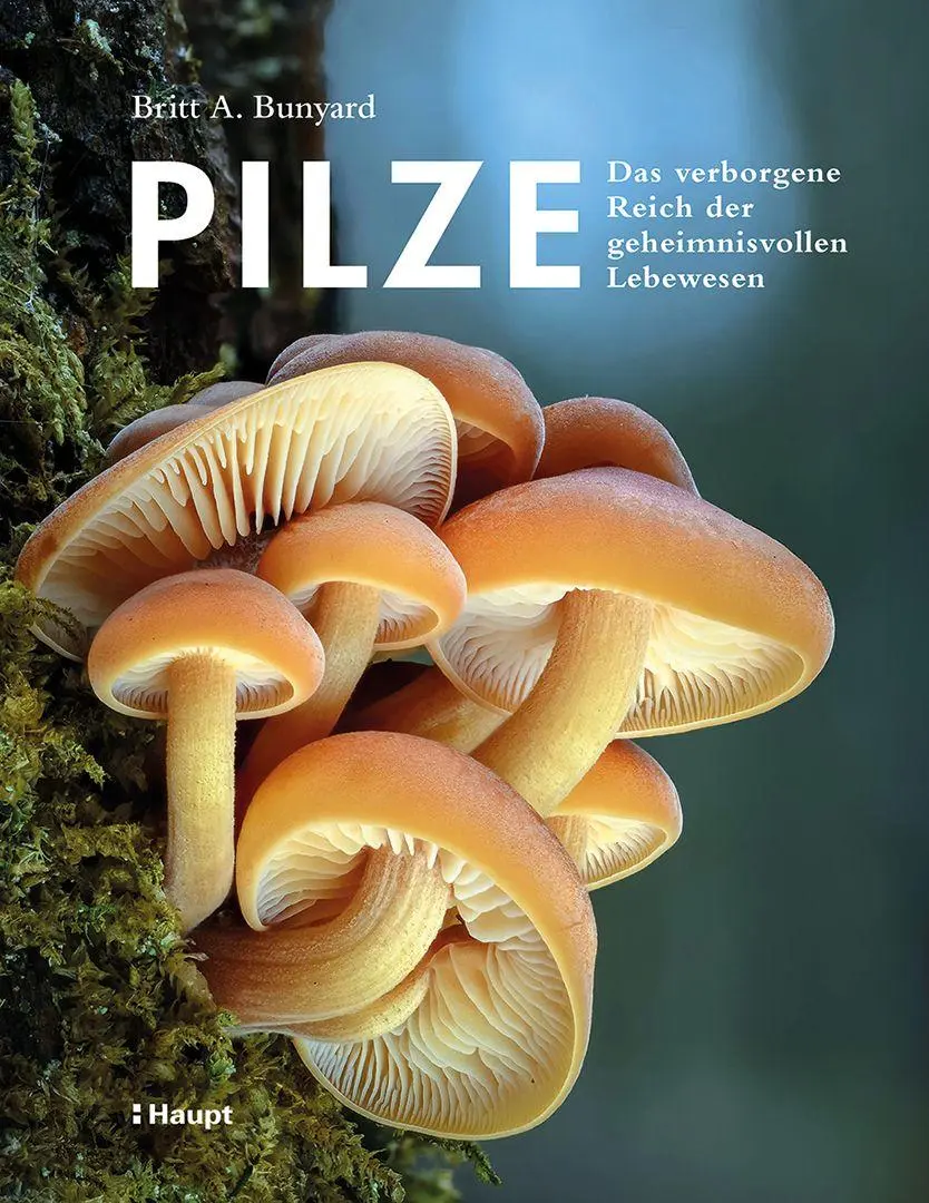Cover: 9783258084558 | Pilze | Das verborgene Reich der geheimnisvollen Lebewesen | Bunyard